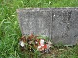 image of grave number 244481